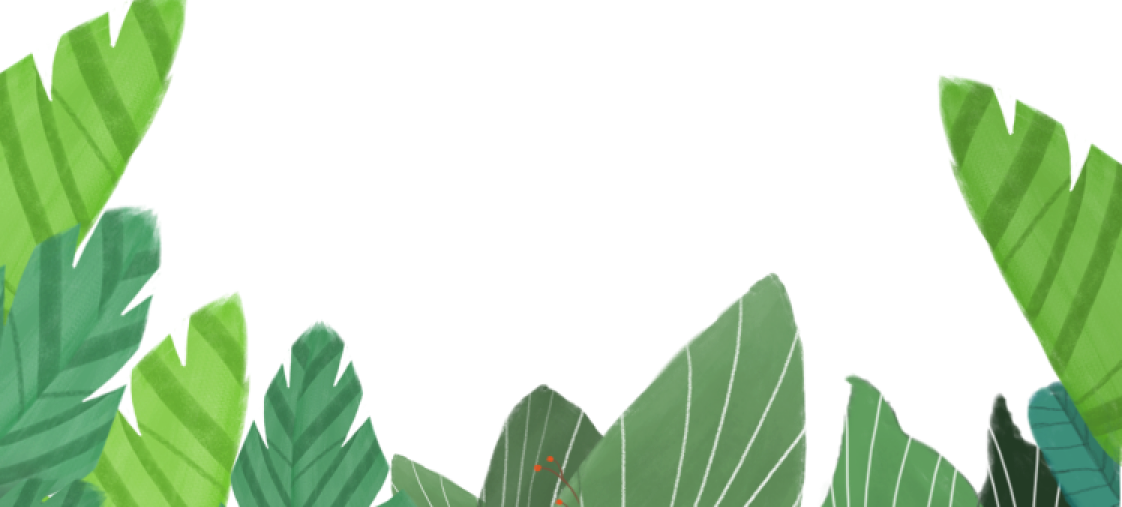 Plant Illustration